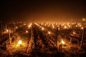 Frost Episode In The Vineyards Of Saint Emilion