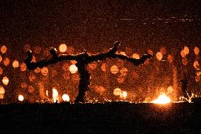 Candles In The Côte D'or Vineyards To Combat Frost