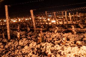 Candles In The Côte D'or Vineyards To Combat Frost