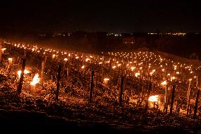 Candles In The Côte D'or Vineyards To Combat Frost