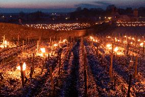 Candles In The Côte D'or Vineyards To Combat Frost