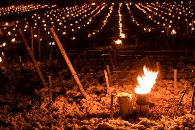 Candles In The Côte D'or Vineyards To Combat Frost