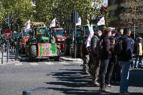Demonstration Of Farmers Against The 2023 CAP - Toulouse