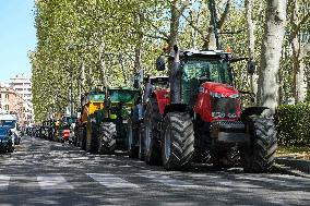 Demonstration Of Farmers Against The 2023 CAP - Toulouse