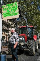 Demonstration Of Farmers Against The 2023 CAP - Toulouse