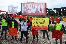 Restaurateurs protest in Rome