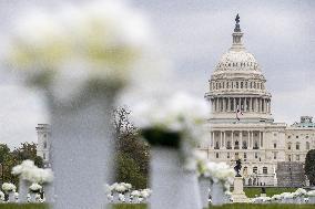The Gun Violence Memorial - Washington