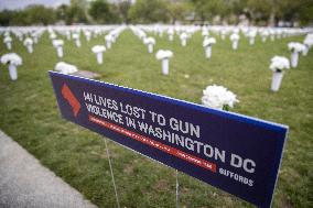 The Gun Violence Memorial - Washington