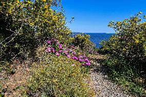 French Riviera During Lockdown - France