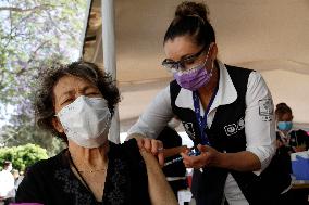 Pfizer BioNTech Covid-19 Mass Vaccination - Mexico