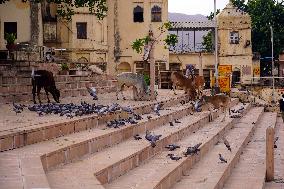 Pushkar Pilgrimage Site Empty During Lockdown - Rajasthan