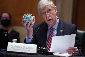 National Institutes of Health's FY22 Budget Hearing - Washington