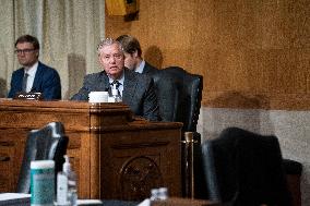 National Institutes of Health's FY22 Budget Hearing - Washington