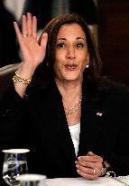 Kamala Harris on the Northern Triangle economy - Washington