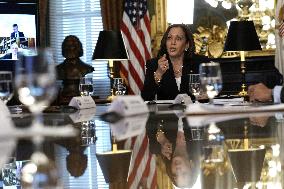 Kamala Harris on the Northern Triangle economy - Washington