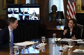 Kamala Harris on the Northern Triangle economy - Washington