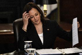 Kamala Harris on the Northern Triangle economy - Washington