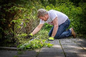 Royals Volunteer During National Voluntary Event NLDoet - Oestgeest