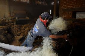 Production Of Matress With Coconut Fiber - Mexico