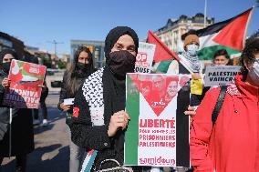 Pro-Palestinian Demonstration - Toulouse