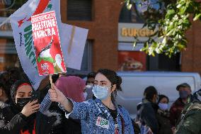 Pro-Palestinian Demonstration - Toulouse