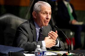 Senate Covid-19 Hearing - Washington