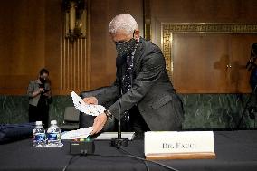 Senate Covid-19 Hearing - Washington