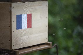 Exclusive - Bees At The Elysee Palace - Paris