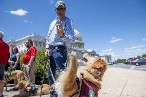 Puppies Assisting Wounded Service Members Press Conf - Washington