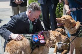 Puppies Assisting Wounded Service Members Press Conf - Washington