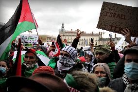 Pro-Palestine Rally - Lyon