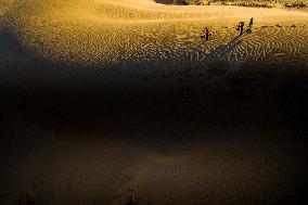 Sand Dune At Ninh Thuan - Vietnam