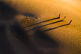 Sand Dune At Ninh Thuan - Vietnam