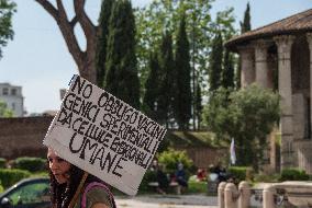 Protest Against Compulsory Vaccination - Rome