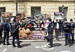 Vegan Impact Association Protest - Paris