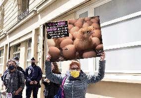 Vegan Impact Association Protest - Paris