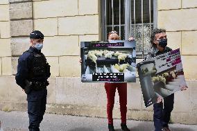 Vegan Impact Association Protest - Paris