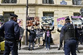 Vegan Impact Association Protest - Paris