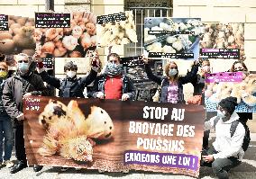 Vegan Impact Association Protest - Paris