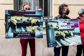 Vegan Impact Association Protest - Paris