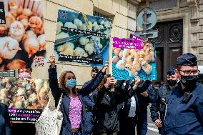 Vegan Impact Association Protest - Paris