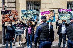 Vegan Impact Association Protest - Paris
