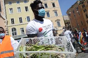 Farmhands Protest - Rome