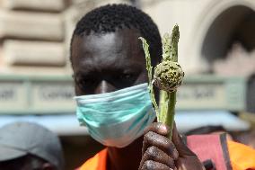 Farmhands Protest - Rome