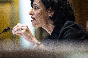 CDC's Walensky and Schuchat testify in Senate - Washington