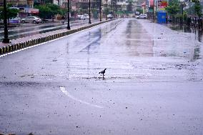 Rain Due To Impact Of Cyclone Tauktae - Rajasthan