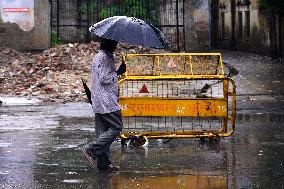 Rain Due To Impact Of Cyclone Tauktae - Rajasthan