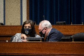 House Select Subcommittee on the Coronavirus Crisis Hearing - Washington