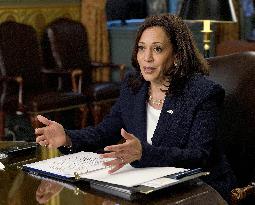 Vice President Harris Holds Virtual Meeting With Members Of The Guatemalan Diaspora