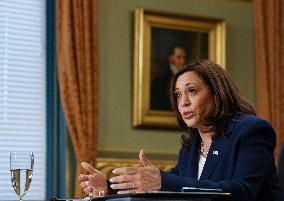 Vice President Harris Holds Virtual Meeting With Members Of The Guatemalan Diaspora